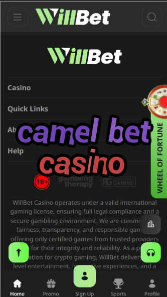 Camel Bet Casino - Desert-Themed Casino Games-casinoorder.vip